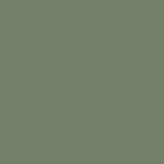 Colorbond Pale Eucalypt